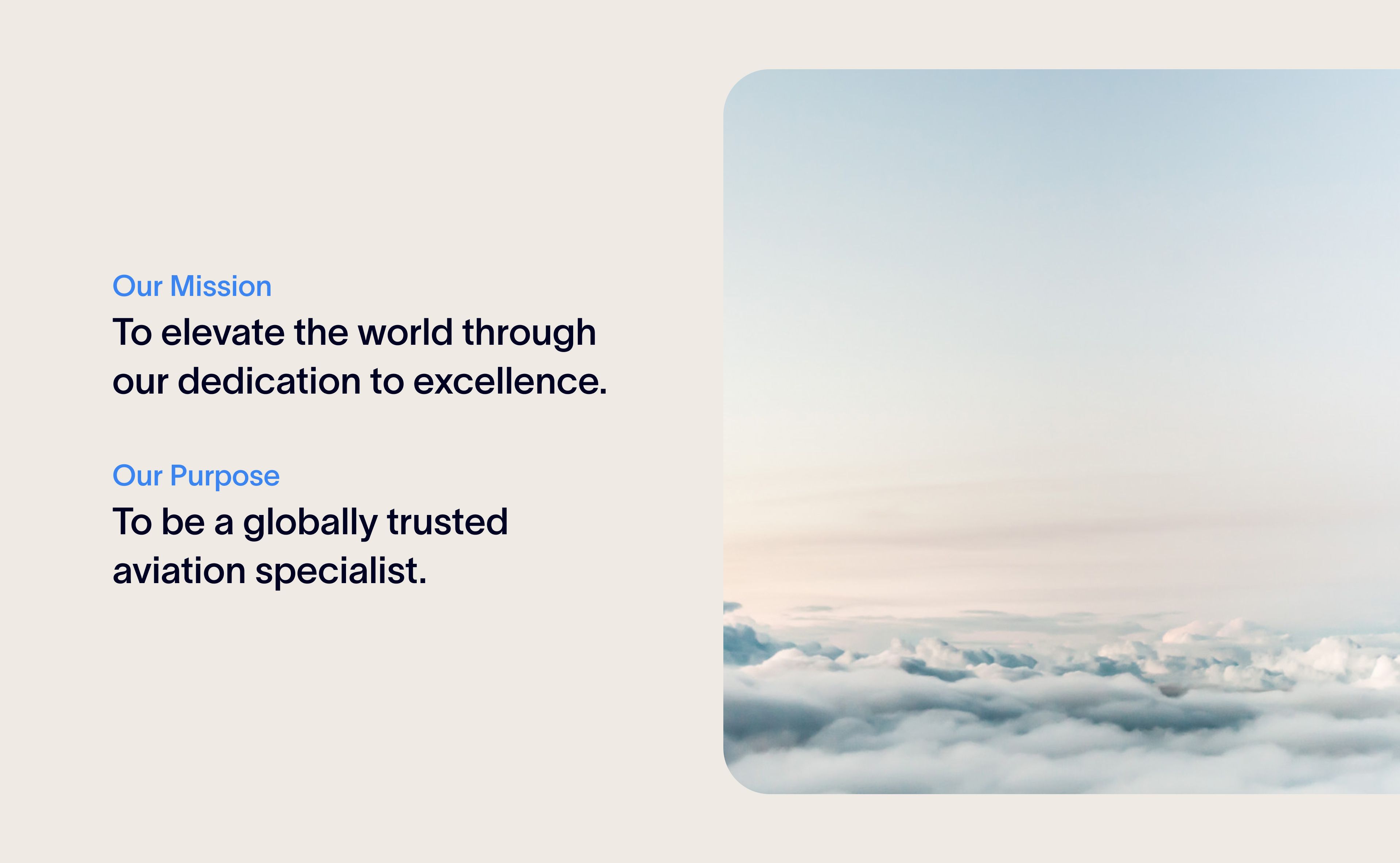 Salus Mission and Purpose