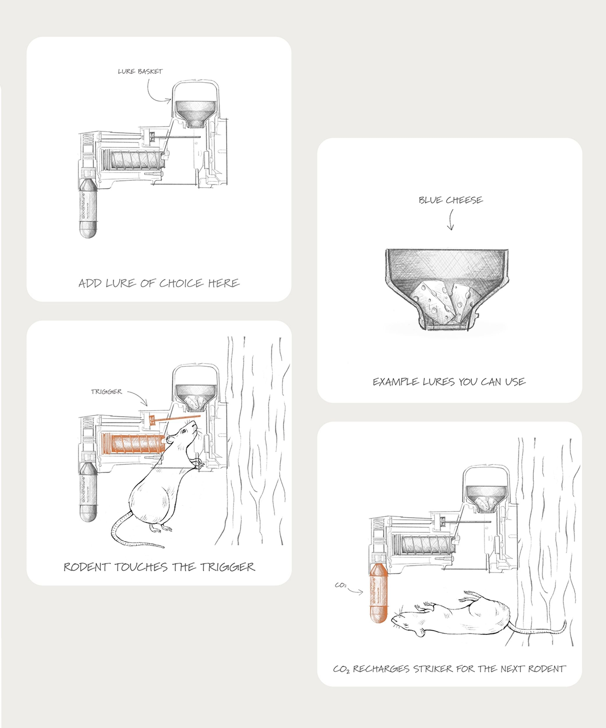 Goodnature Illustrations