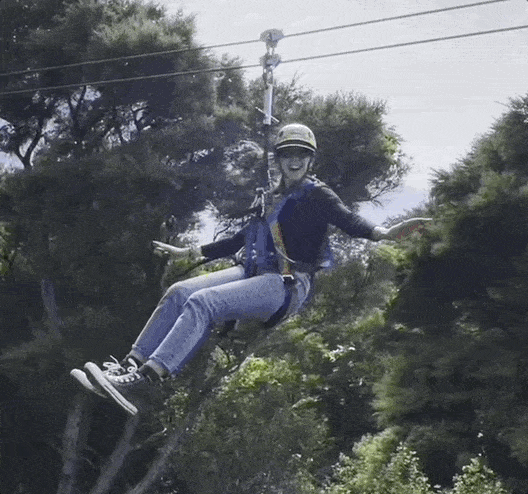 Zipline