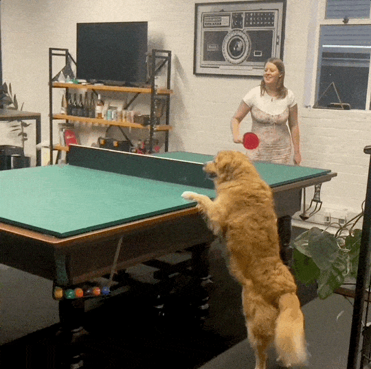 Ping Pong