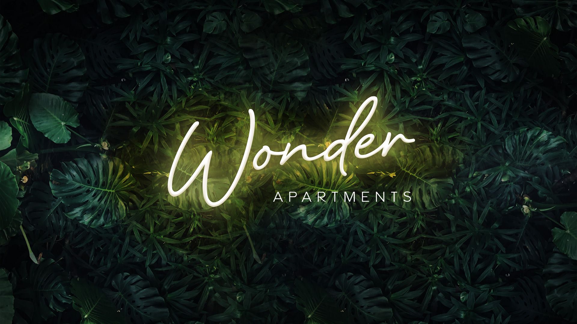 Wonder logo